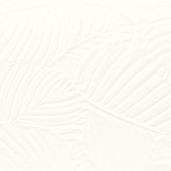 palm-white